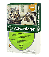 Краплі від бліх для кішок до 4 кг Bayer Advantage (Адвантейдж) 4 шт/уп