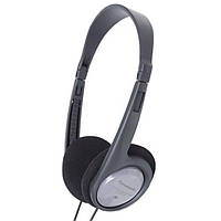 Навушники Panasonic RP-HT010GU-H Сірий