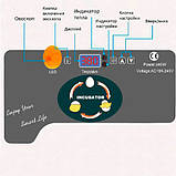 Інкубатор побутовий міні, для 12 яєць, овоскоп, LCD, 40Вт, прозорі стінки, фото 3