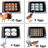Інкубатор побутовий міні, для 12 яєць, овоскоп, LCD, 40Вт, прозорі стінки, фото 4
