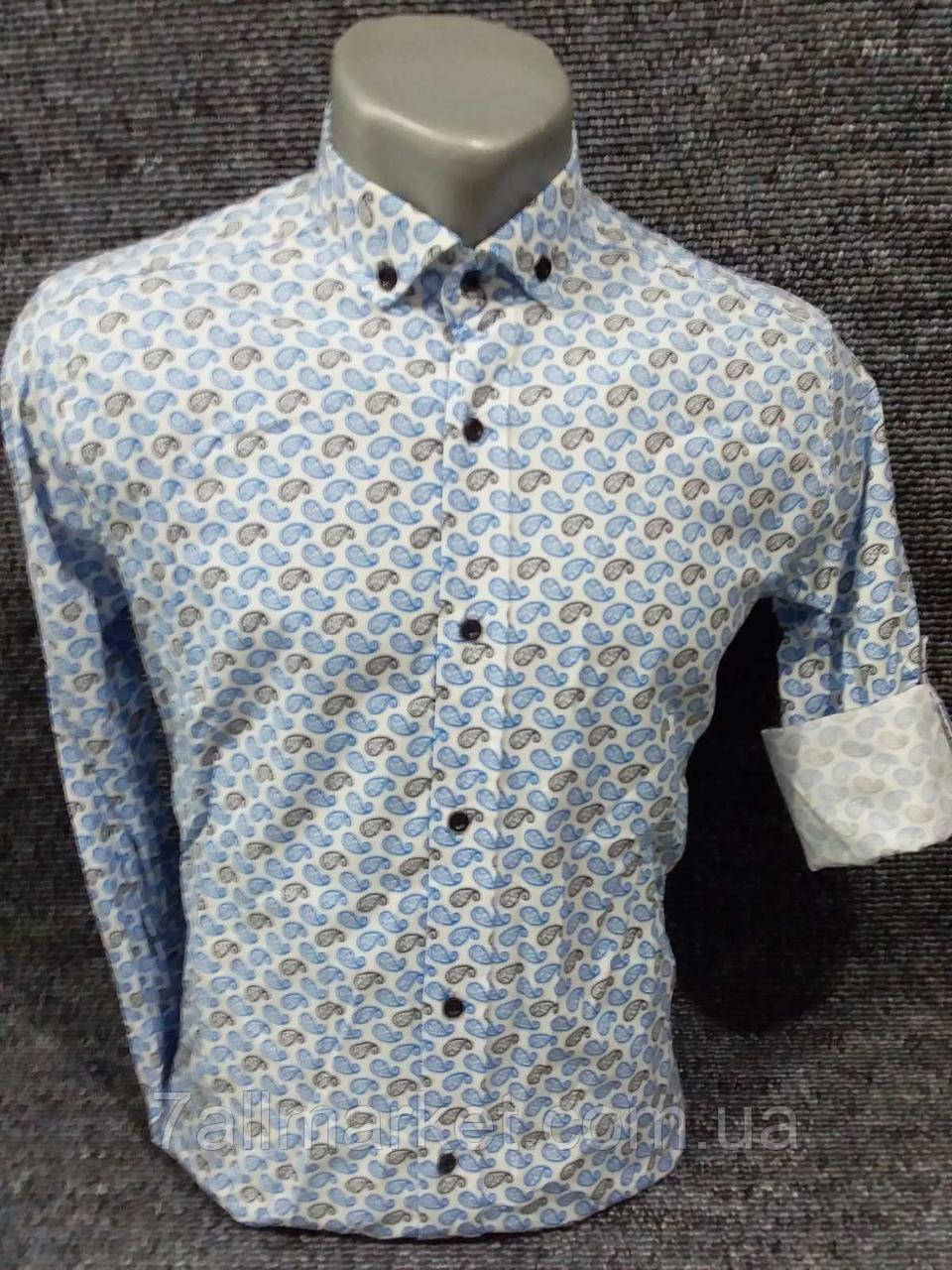 Сорочка чоловіча стрейчева, приталені, молодіжна р-ри S-2XL (3ол) "ROLADA" недорого від прямого постачальника