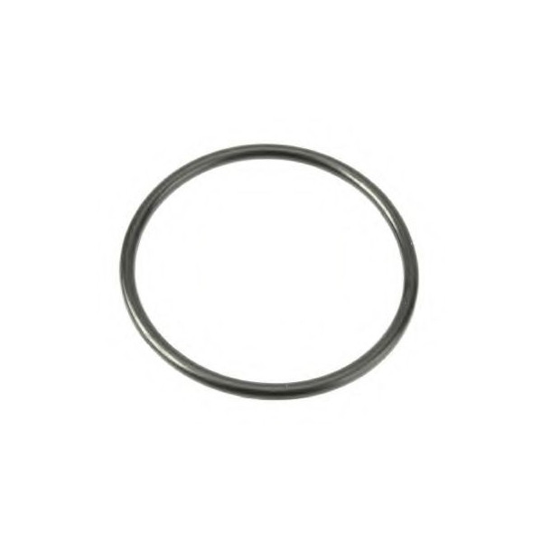 Кільце ущільнить. T8040-50/Mag. Case 87434592