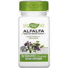 Люцерна Nature's Way "Alfalfa" 1215 мг (100 капсул)