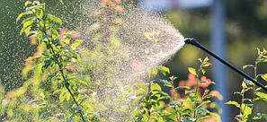 Інсектициди