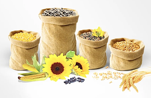 Посівний матеріал