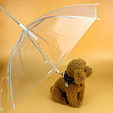 Парасолька для собаки RESTEQ. Парасолька з ланцюгом для собак. Собача парасолька, фото 4