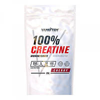 Креатин 100% Creatine Monohydrate (250 г) Vansiton