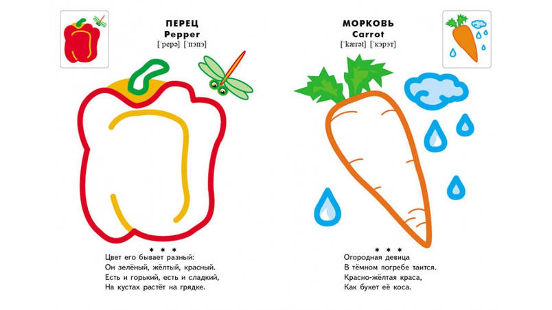 Пегас СКА5 Кольорові контури Овочі та фрукти, фото 3