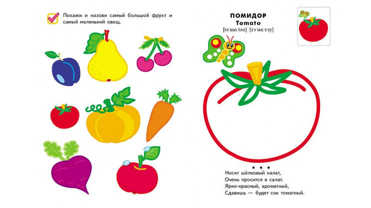 Пегас СКА5 Кольорові контури Овочі та фрукти, фото 5