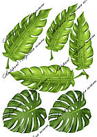 Съедобная картинка "Листья пальмы" сахарная и вафельная картинка а4 САХАРНАЯ бумага