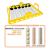 Інкубатор автоматичний Теплу Greeny 88 ТАВ Тиновий з вологоміром каретковий, фото 8