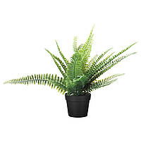 Искусственное растение в горшке IKEA FEJKA папоротник 9 см 304.339.45