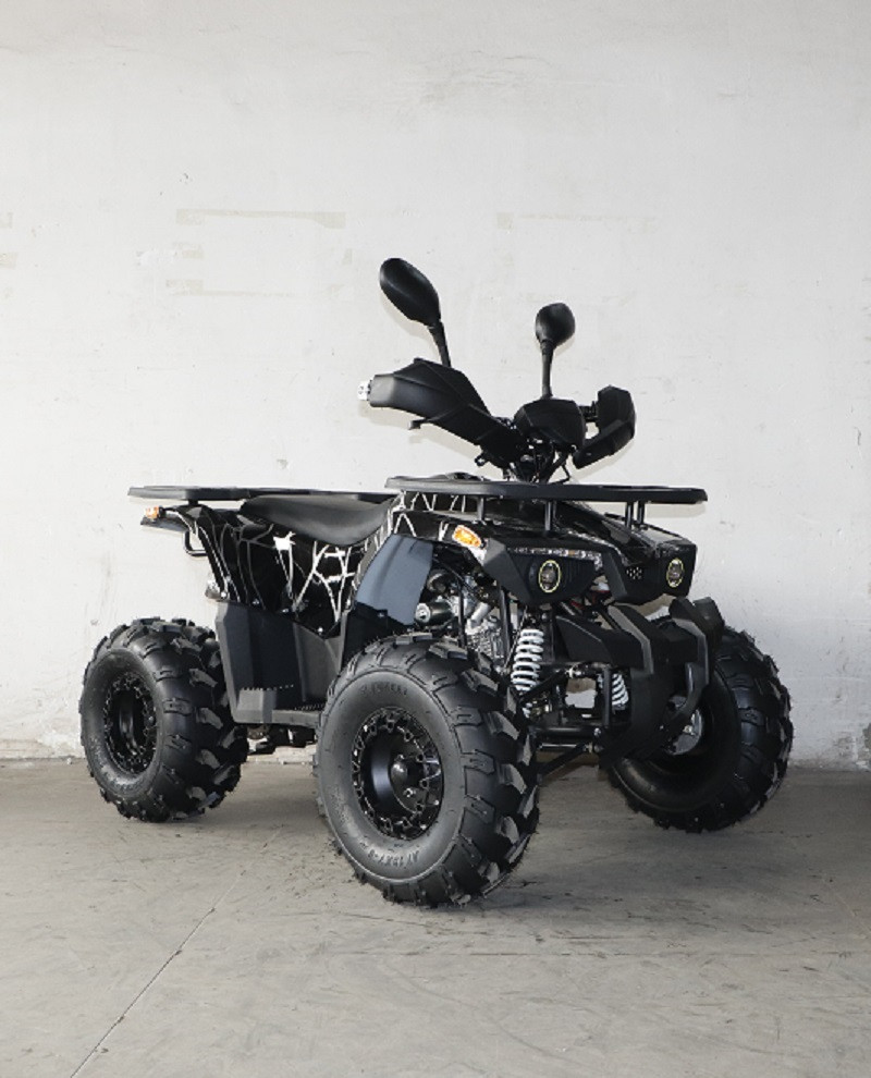 Квадроцикл Forte ATV 125 L чорний