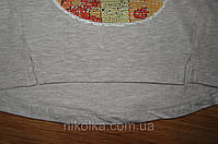 Реглан з мікронапиленням для дівчаток оптом, Wiyan Kids, 98-116 рр., арт. WS-30, фото 7