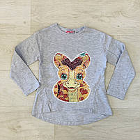 Реглан з мікронапиленням для дівчаток оптом, Wiyan Kids, 98-116 рр., арт. WS-30, фото 2