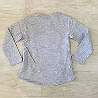 Реглан з мікронапиленням для дівчаток оптом, Wiyan Kids, 98-116 рр., арт. WS-30, фото 5