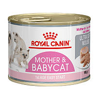 Консерва для котят до 4 месяцев Royal Canin Babycat Instinctive 195 г 9003579311660 925601
