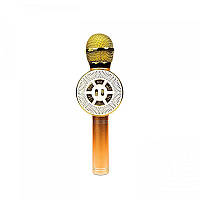 Караоке-мікрофон Optima Wster MK-4 Gold (WS-MK-4-GD)