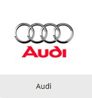 Дефлектор капоту, мухобойка AUDI