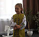 Вишитий костюм для дівчинки "Єльза" DJ-0012, фото 3