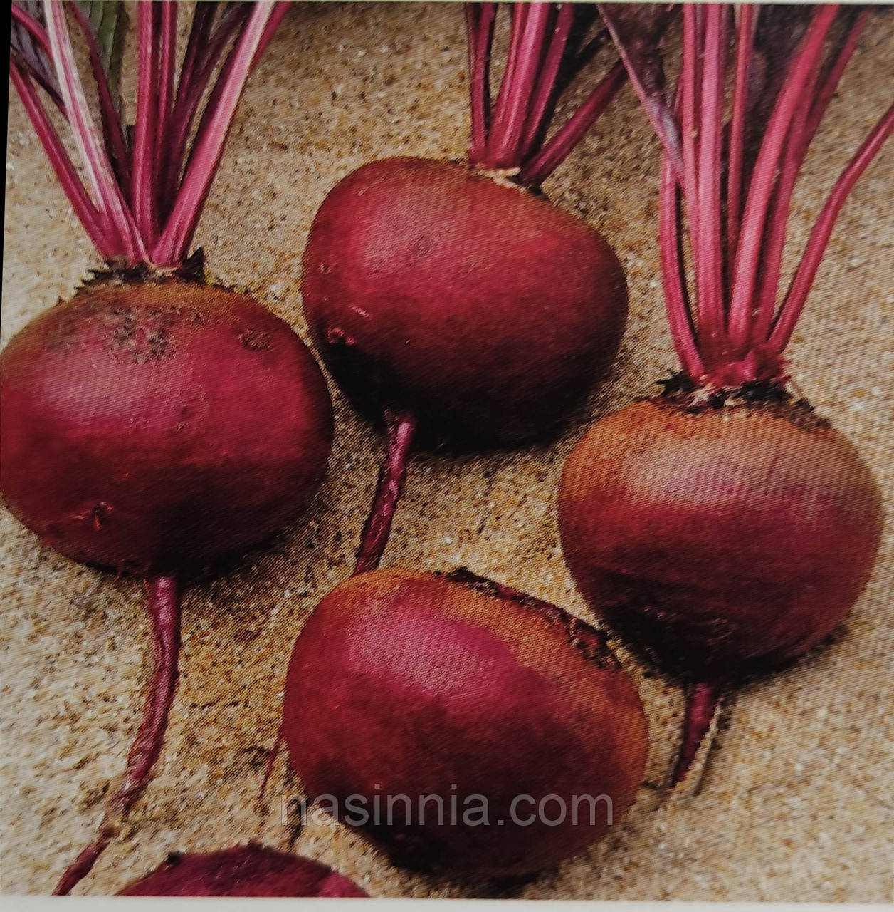 Буряк Камаро F1 5000 насінин, фото 1