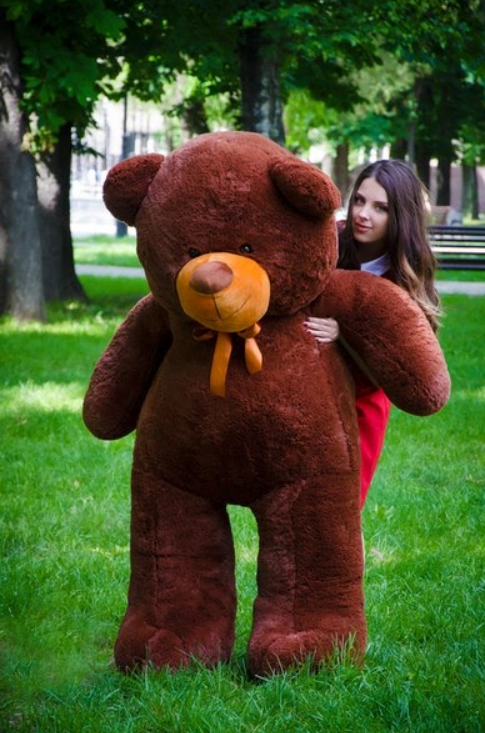 Большой Шоколадный Медведь 2 Метра на 14 Февраля и 8 Марта, Красивый ...