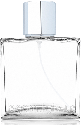 Скляний флакон для парфумів Bleu de Chanel 60 мл атомайзер флакон-спрей для духів прозорий Чикаго