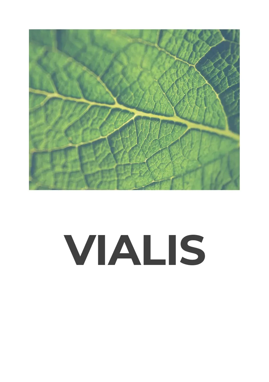Vialis (Виалис)