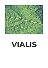 Vialis (Виалис)