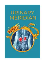 URINARY Meridian (Уринари Меридіан) - капсули від нетримання сечі у жінок