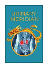 URINARY Meridian (Уринари Меридіан) - капсули від нетримання сечі у чоловіків