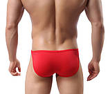 Напівпрозорі чоловічі плавки. howe ray, фото 3