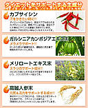 Комплекс для схуднення та жироспалювання Diet Mix з капсаїцином SeedComs 90 шт на 3 місяці прийому, фото 3