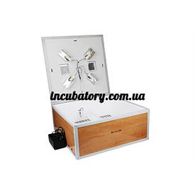 Інкубатор Курочка Ряба 100 з вентилятором і механічним переворотом 