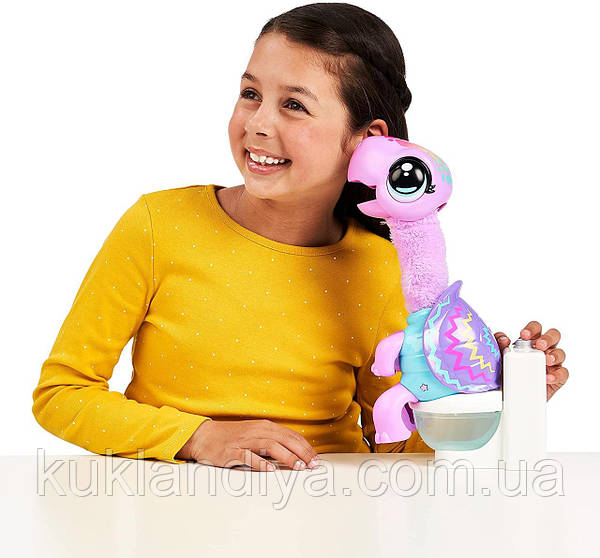 Live pets store toys