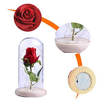 Вічна троянда в колбі з діодною LED-підсвіткою на підставці Троянда під скляним куполом КРАСНА, фото 3