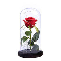 Вічна троянда в колбі з діодною LED-підсвіткою на підставці Троянда під скляним куполом КРАСНА, фото 2