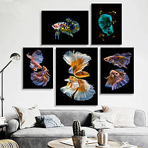 Картина Betta fish, 40х60 см, півник слоноухий золотисто-білий., фото 5