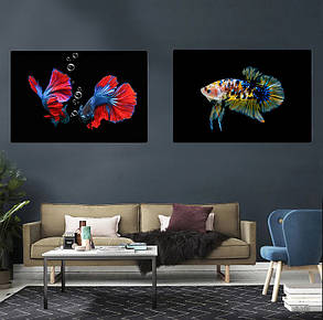 Картина Betta fish, 60х80 см, півник плакат мармуровий., фото 3
