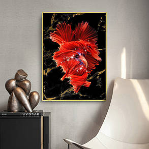 Картина Betta fish, 21х30 см, півник розахвост червоний., фото 3