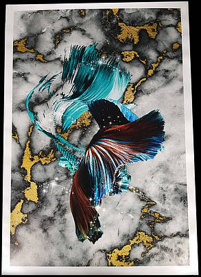 Картина Betta fish, 40х59.3 см, півник довгохвостий блакитний., фото 4
