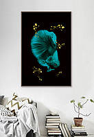 Картина Betta fish, 40х59.3 см, петушок полумесяц бирюзовый.