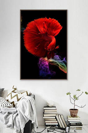 Картина Betta fish, 80х60 см, півник червоний півмісяць., фото 1