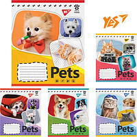 Уч Зошит 12арк# кл. "YES" /765356/ "Pets shoot"