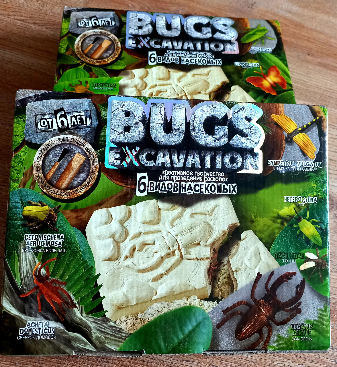Набор для раскопок жуков и насекомых Bugs Excavation жуки от 6 лет - фото 2 - id-p1515277757