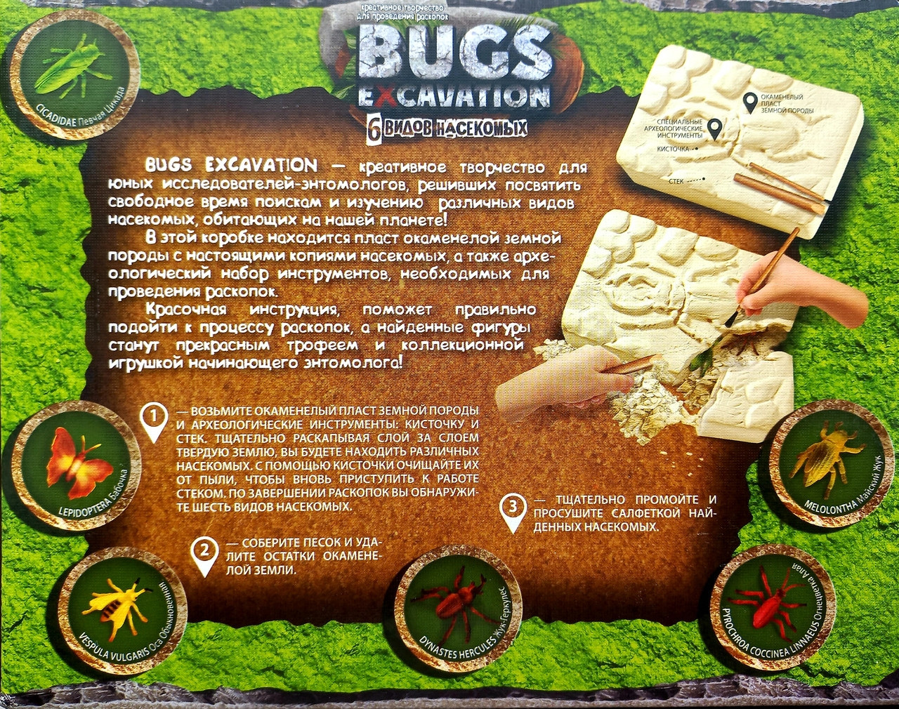 Набор для раскопок жуков и насекомых Bugs Excavation жуки от 6 лет - фото 5 - id-p1515277757