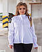 Жіноча сорочка блуза з рюшами, 50-52, 54-56, білий, чорний, пудра, блакитний (Батал), фото 8