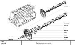 Вал розподілний дв.4216 інж. (RIDER) 42164.1006015