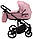 Дитяча універсальна коляска 2 в 1 Adamex Porto Light Tip TK-24, фото 3