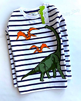 Детский реглан с динозавром